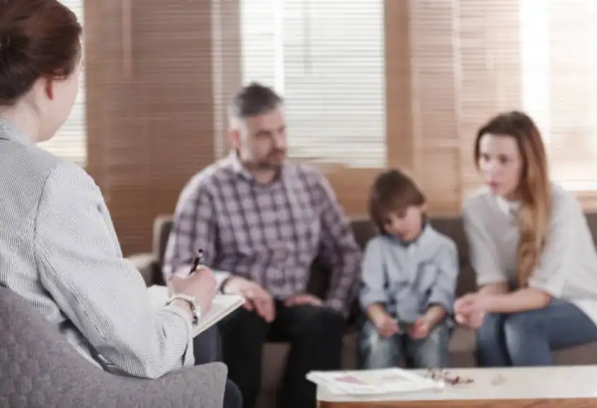 Different Parenting Styles and Expectations: Finding Common Ground Through Mediation Hessle